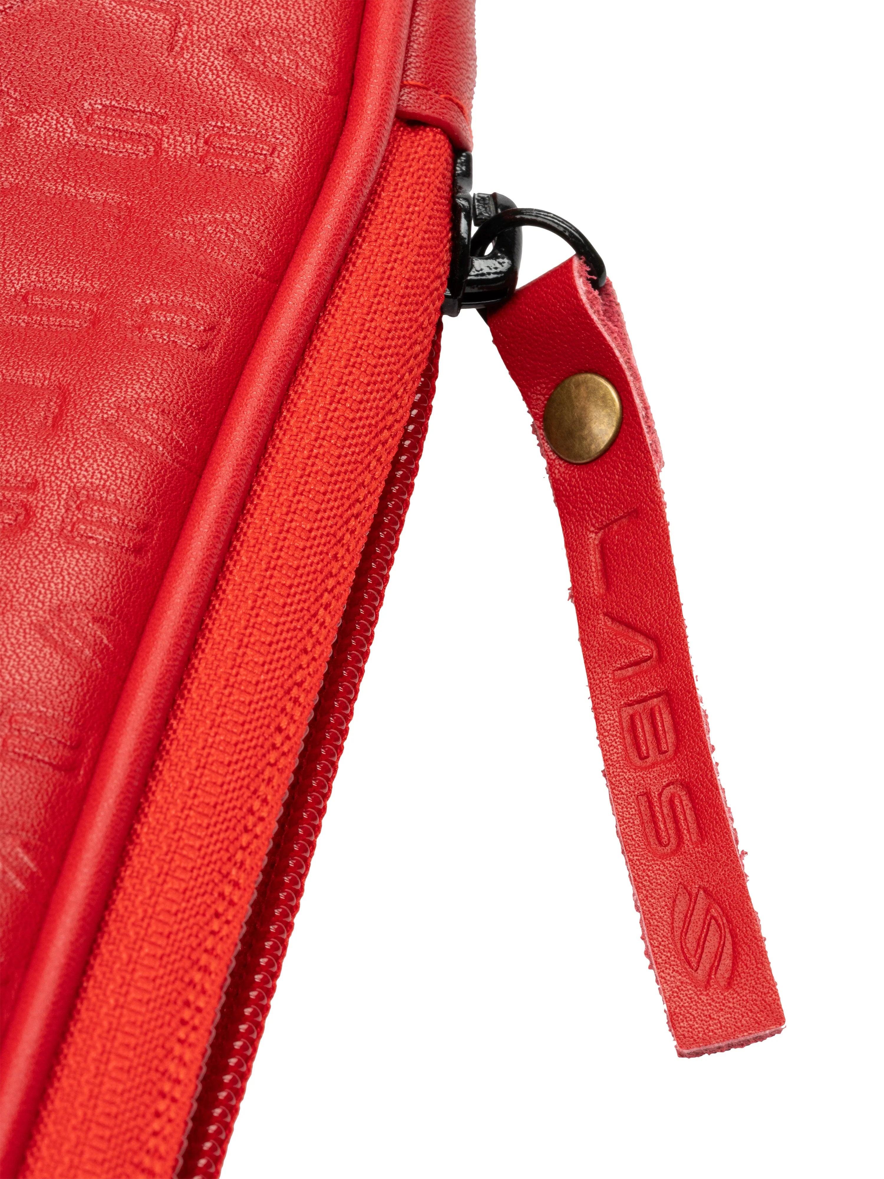 Selkirk LABS Red Paddle Collectors Case Dink Dynasty