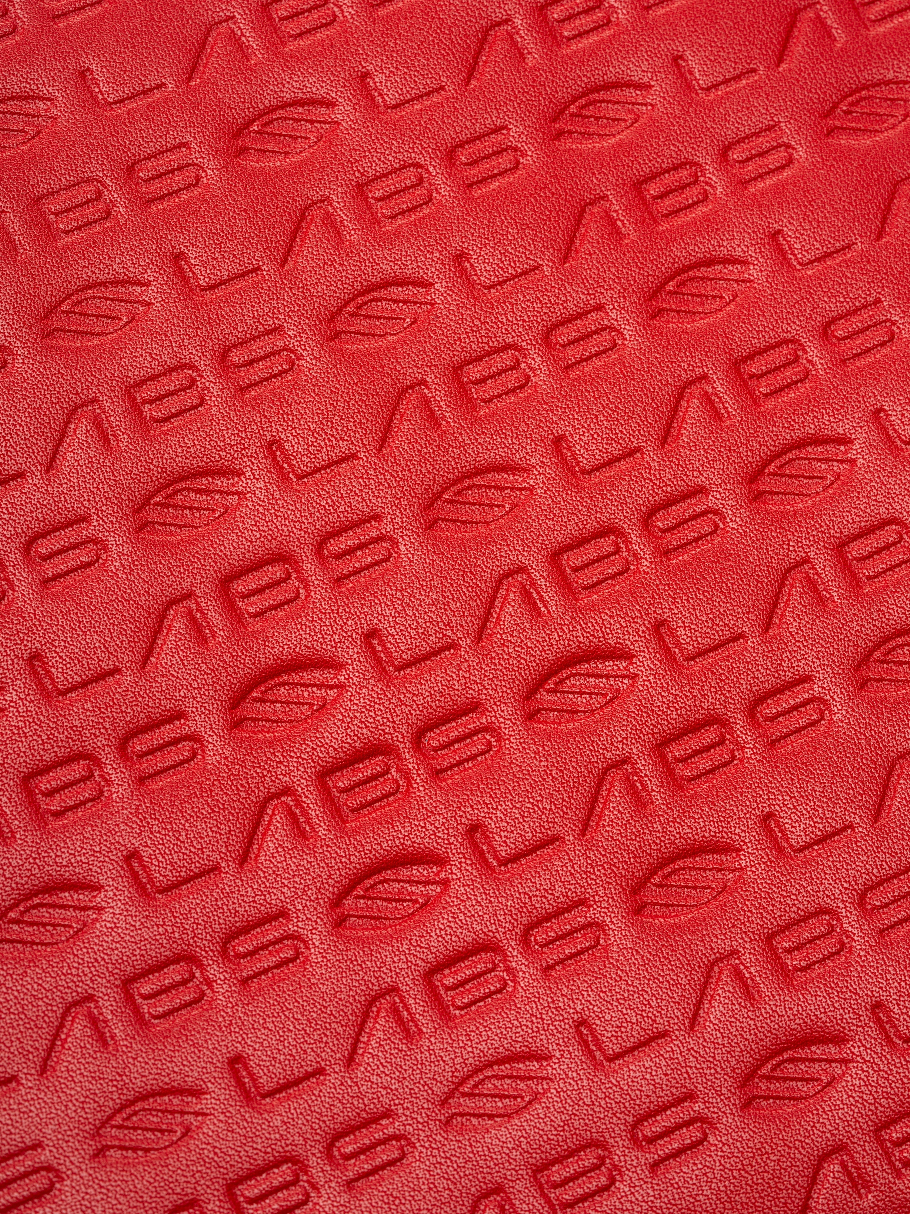Selkirk LABS Red Paddle Collectors Case Dink Dynasty